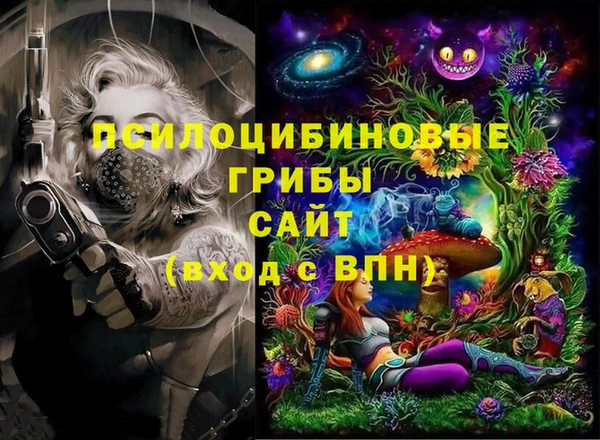 круглые Алзамай